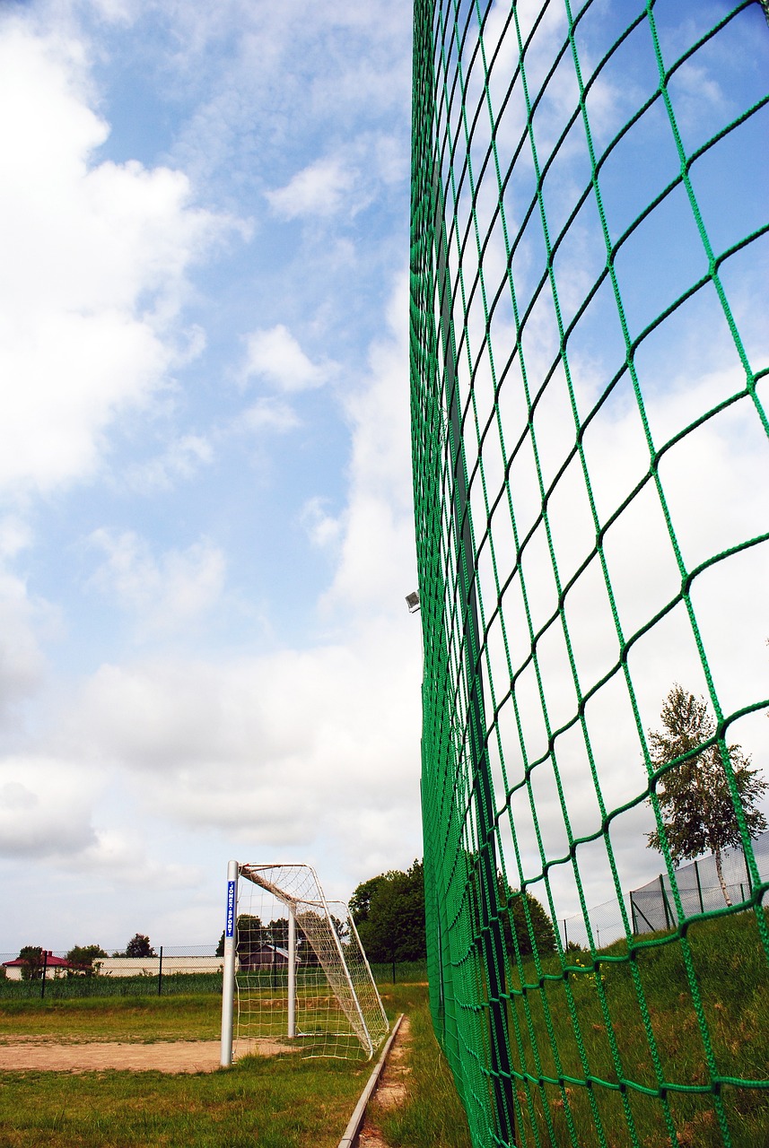 们的运动积 们的运动积