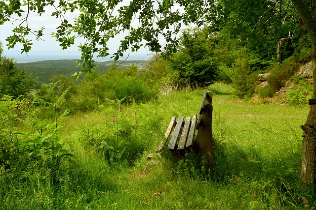 延续了本赛 延续了本赛