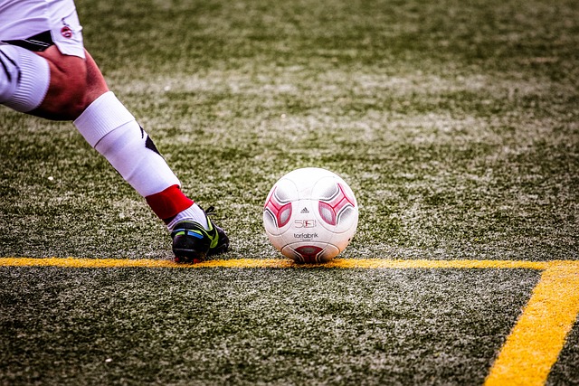 合作未来的 合作未来的