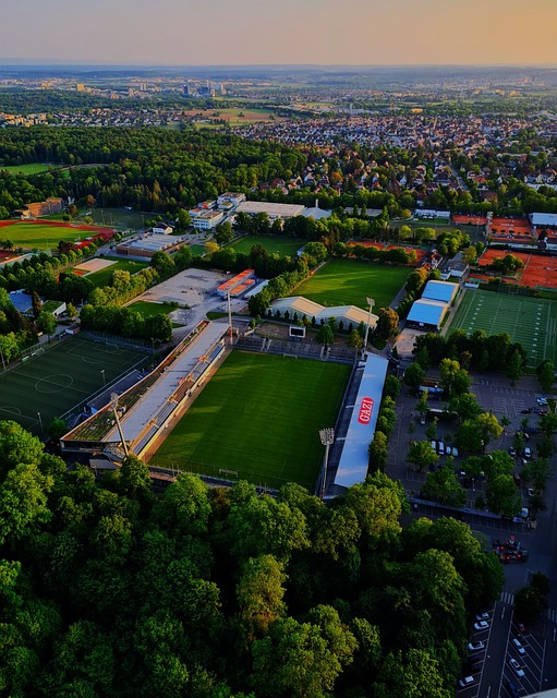 姆斯的选择 姆斯的选择